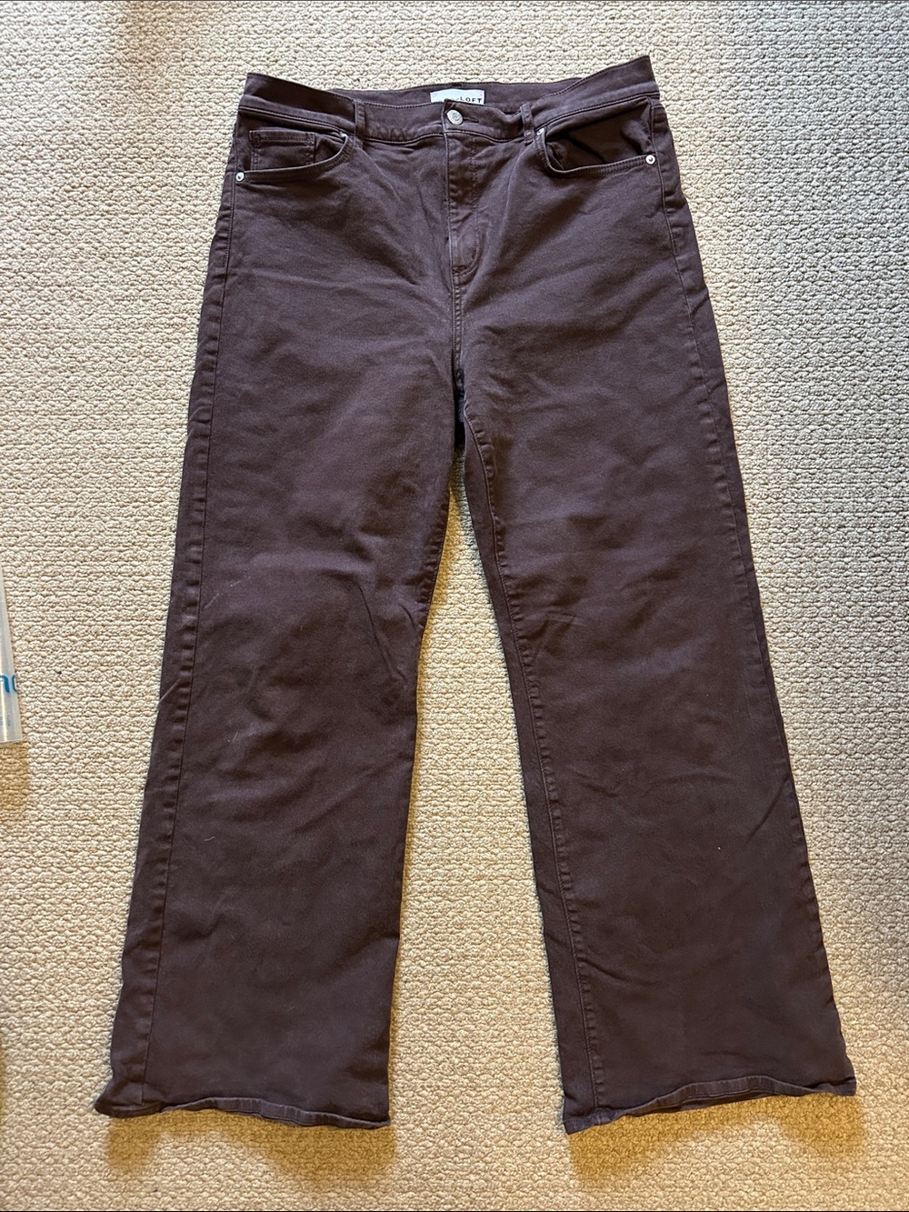LOFT The Wide Leg Jean Chocolate Brown Waist 12